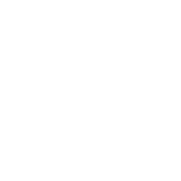 Reset